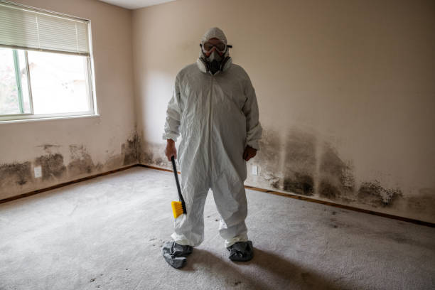 Best Professional Mold Removal  in Tequesta, FL